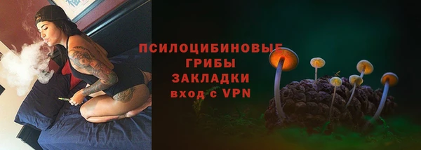 ECSTASY Нефтекумск