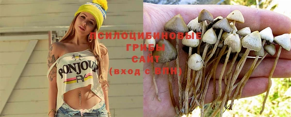 гидра Нефтегорск