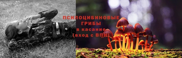 соль курить ск Нея